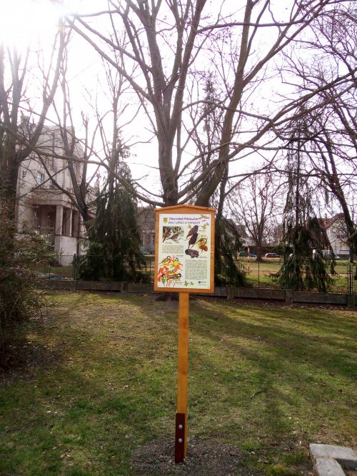 Park vedle Městského kina